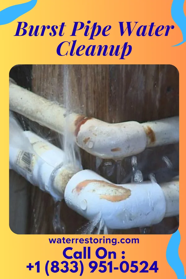 Burst Pipe Water Cleanup in Richlandtown, PA
