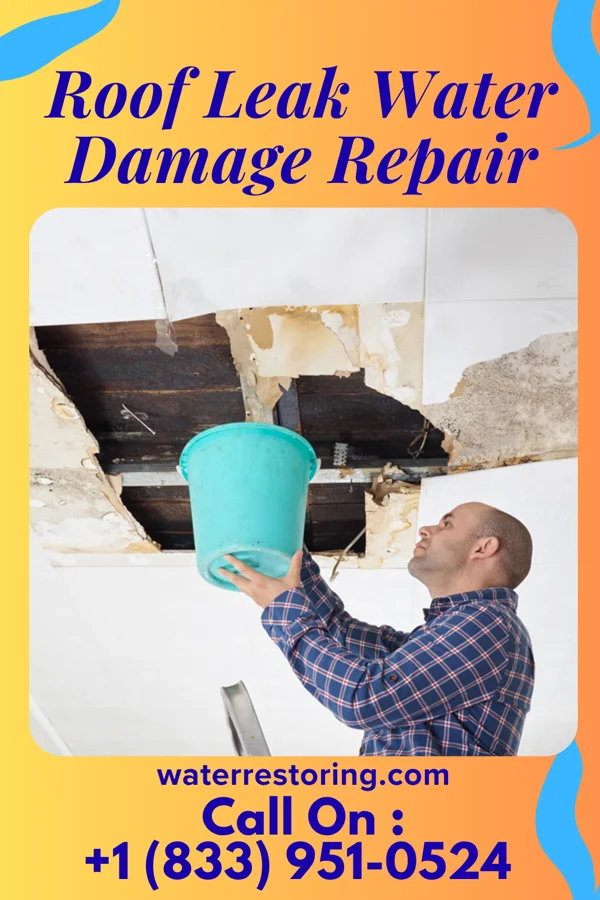 Roof Leak Water Damage Repair in Richlandtown, PA