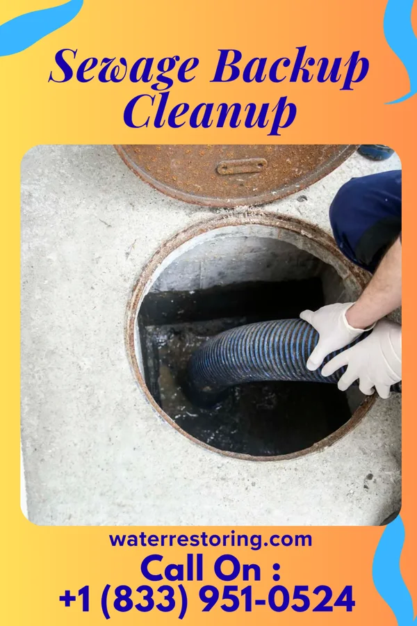 Sewage Backup Cleanup in Richlandtown, PA