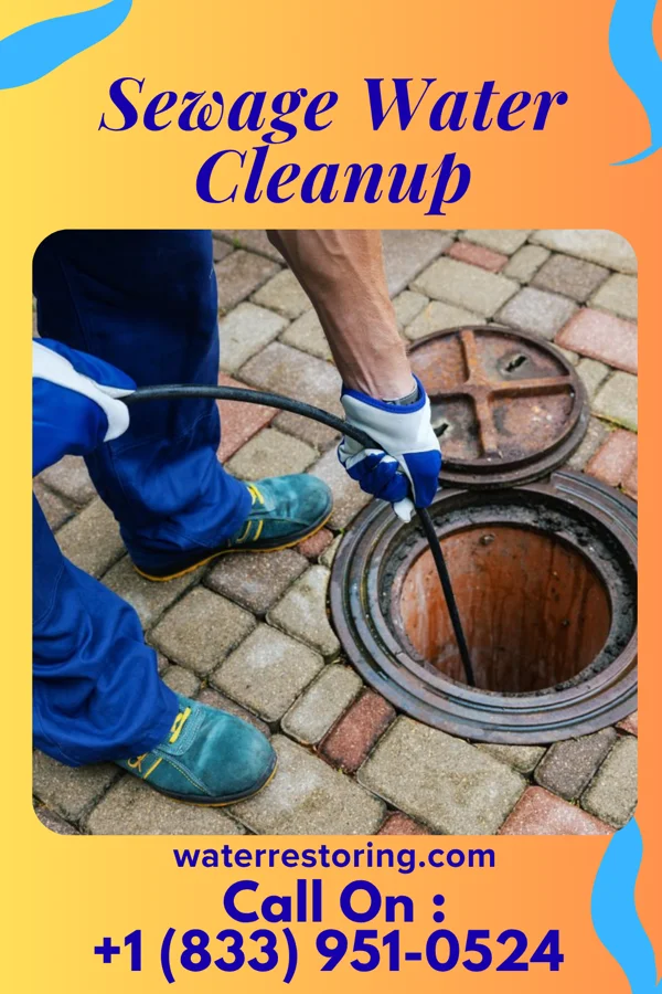 Sewage Water Cleanup in Richlandtown, PA